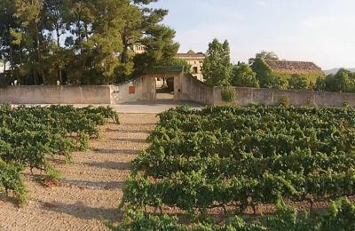 Kasteel te koop Santa Oliva, Catalonië, Foto 6/19