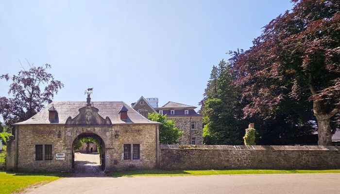 Kasteel te koop Astenet, Wallonie,  België