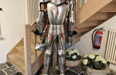 Kasteel te koop Astenet, Nierstraße 5, Wallonie, unser Ritter " Thor"