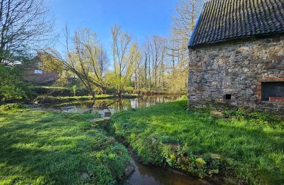Kasteel te koop Astenet, Nierstraße 5, Wallonie, Weiher mit Insel ( ideal für Hochzeitzermonien)