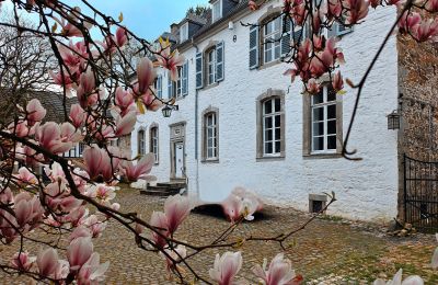 Kasteel te koop Astenet, Nierstraße 5, Wallonie, Herenhuis/ Landhuis