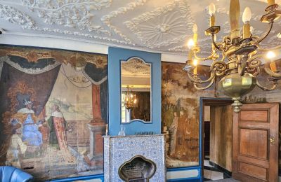 Kasteel te koop Astenet, Nierstraße 5, Wallonie, Tapetenzimmer "König Salomon"
