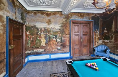Kasteel te koop Astenet, Nierstraße 5, Wallonie, Billardtimmee /Tapetenzimmer "Salomon " 