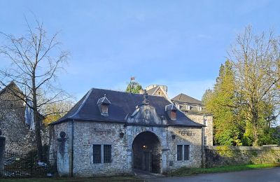 Kasteel te koop Astenet, Nierstraße 5, Wallonie, Foto 3/28