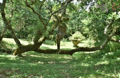 Historische villa te koop Bussac-sur-Charente, Nouvelle-Aquitaine, Foto 23/33