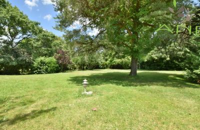 Historische villa te koop Bussac-sur-Charente, Nouvelle-Aquitaine, Foto 26/33