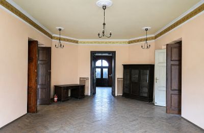 Kasteel te koop Gościeszyn, Pałac w Gościeszynie, Groot-Polen, Foto 7/15