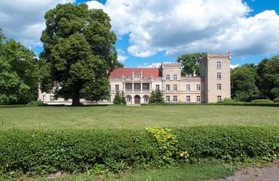 Kasteel te koop Gościeszyn, Pałac w Gościeszynie, Groot-Polen, Pałac w Gościeszynie