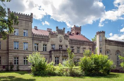 Kasteel te koop Gościeszyn, Pałac w Gościeszynie, Groot-Polen, Achteraanzicht