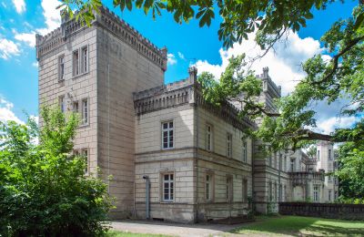 Kasteel te koop Gościeszyn, Pałac w Gościeszynie, Groot-Polen, Zijaanzicht