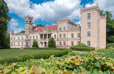 Kasteel te koop Gościeszyn, Pałac w Gościeszynie, Groot-Polen, Buitenaanzicht