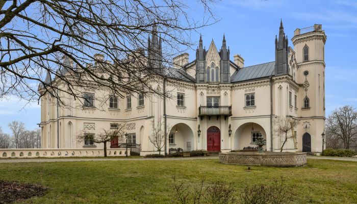 Kasteel Patrykozy-Kolonia, Mazovië