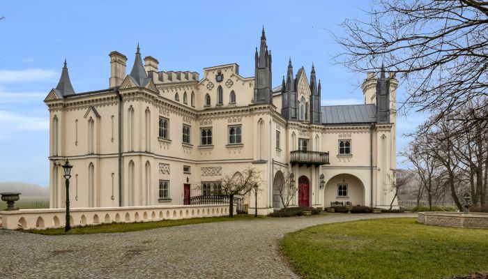 Kasteel te koop Patrykozy-Kolonia, Mazovië