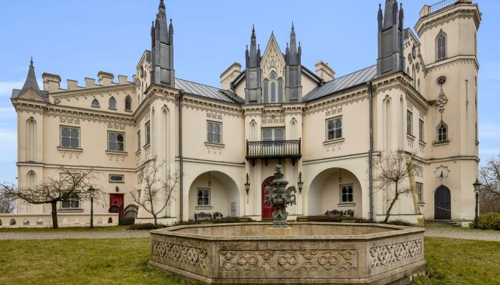Kasteel te koop Patrykozy-Kolonia, Mazovië