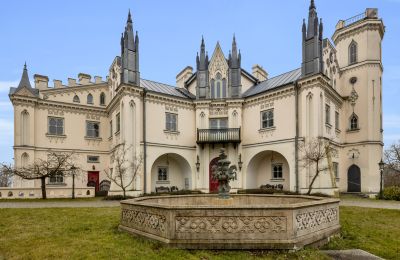 Historisch vastgoed, Neogotisch landhuis in Patrykozy - een uniek monument in Mazovië
