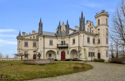 Kasteel te koop Patrykozy-Kolonia, Mazovië, Foto 15/21