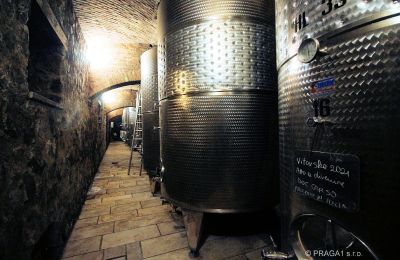 Kasteel te koop Friuli Venezia Giulia, Foto 18/21