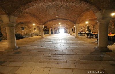 Kasteel te koop Friuli Venezia Giulia, Foto 19/21