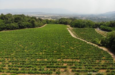 Kasteel te koop Friuli Venezia Giulia, Foto 21/21