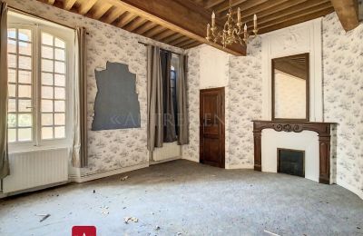 Historisch vastgoed te koop Bessières, Occitanie, Salon