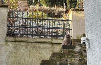 Historische villa te koop 58762 Altena, Bachstraße 66, Nordrhein-Westfalen, außentreppe zum Garten
