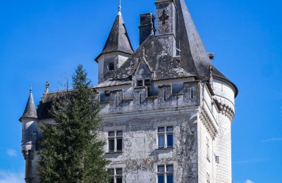 Kasteel te koop Loches, Centre-Val de Loire, Toren