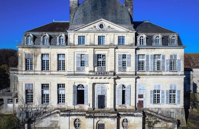 Kasteel te koop Loches, Centre-Val de Loire, Vooraanzicht