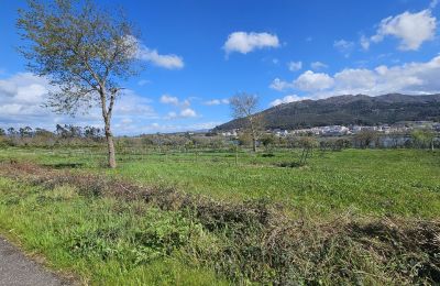 Landhuis te koop 36740 Tomiño, Galicië, Foto 16/28