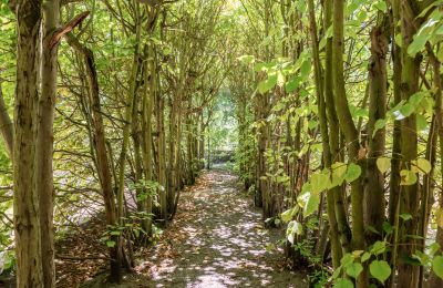 Historische villa te koop Charlottenburg-Wilmersdorf, Westend, Berlijn, Lindenlaubengang 