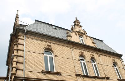 Historische villa te koop Neustadt an der Weinstraße, Rheinland-Pfalz, RunBogenfenster mit auffälligen Verzierungen 
