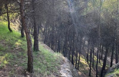 Paleis te koop Chinchilla de Monte-Aragón, Calle Doctor Daudén  2, Castilla-La Mancha, surroundings landscapes