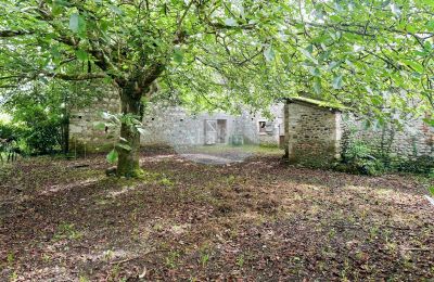 Historisch vastgoed te koop Nay, Nouvelle-Aquitaine, Tuin