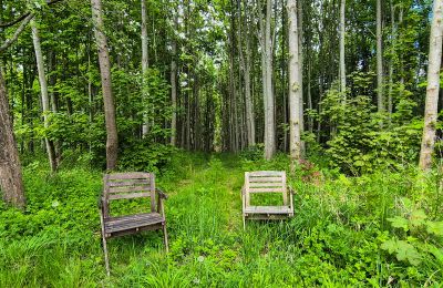 Burcht te koop 18513 Glewitz, Mecklenburg-Vorpommern, Wald / Außenbereich