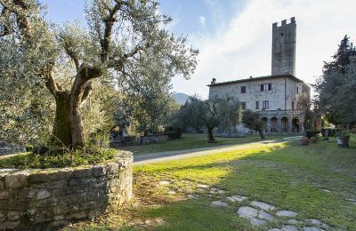 Burcht te koop Croci di Calenzano, Toscane, Tuin
