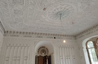 Kasteel te koop Osiek, Pałac w Osieku, Klein-Polen, Foto 10/38