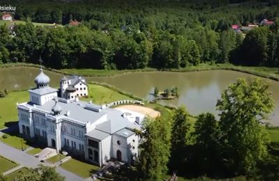 Kasteel te koop Osiek, Pałac w Osieku, Klein-Polen, Foto 38/38