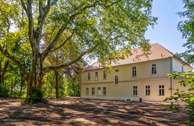 Kasteel te koop Środa Śląska, Pałac w Wojczycach, Neder-Silezië, Foto 5/23