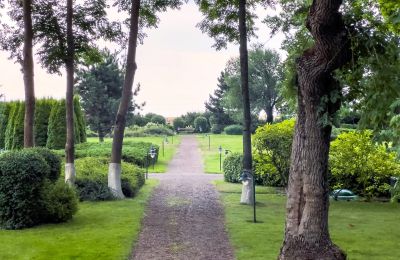 Landhuis te koop Koejavië-Pommeren, Tuin