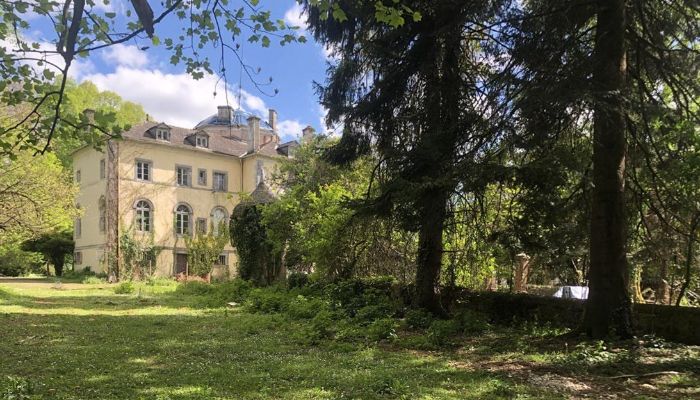 Kasteel te koop Pontacq, Nouvelle-Aquitaine,  Frankrijk