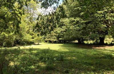 Kasteel te koop Pontacq, Nouvelle-Aquitaine, Park