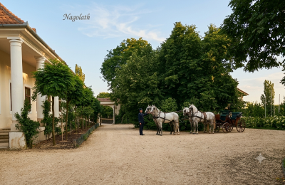 Landhuis te koop Koplotovce,  kaštieľ, Trnavský kraj, upravení dobová foto