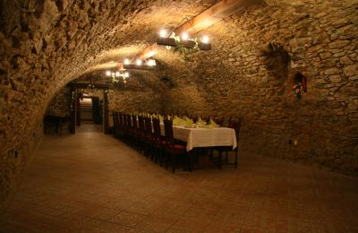 Landhuis te koop Trnavský kraj, okres Hlohovec, Koplotovce, Frídeský kaštieľ, Trnavský kraj, Pivnica