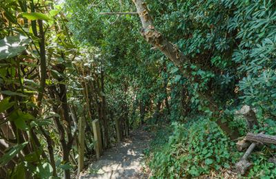 Historische villa te koop Montecalvoli, Toscane, Foto 39/44