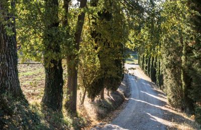 Historische villa te koop Torrenieri, Toscane, Toegang