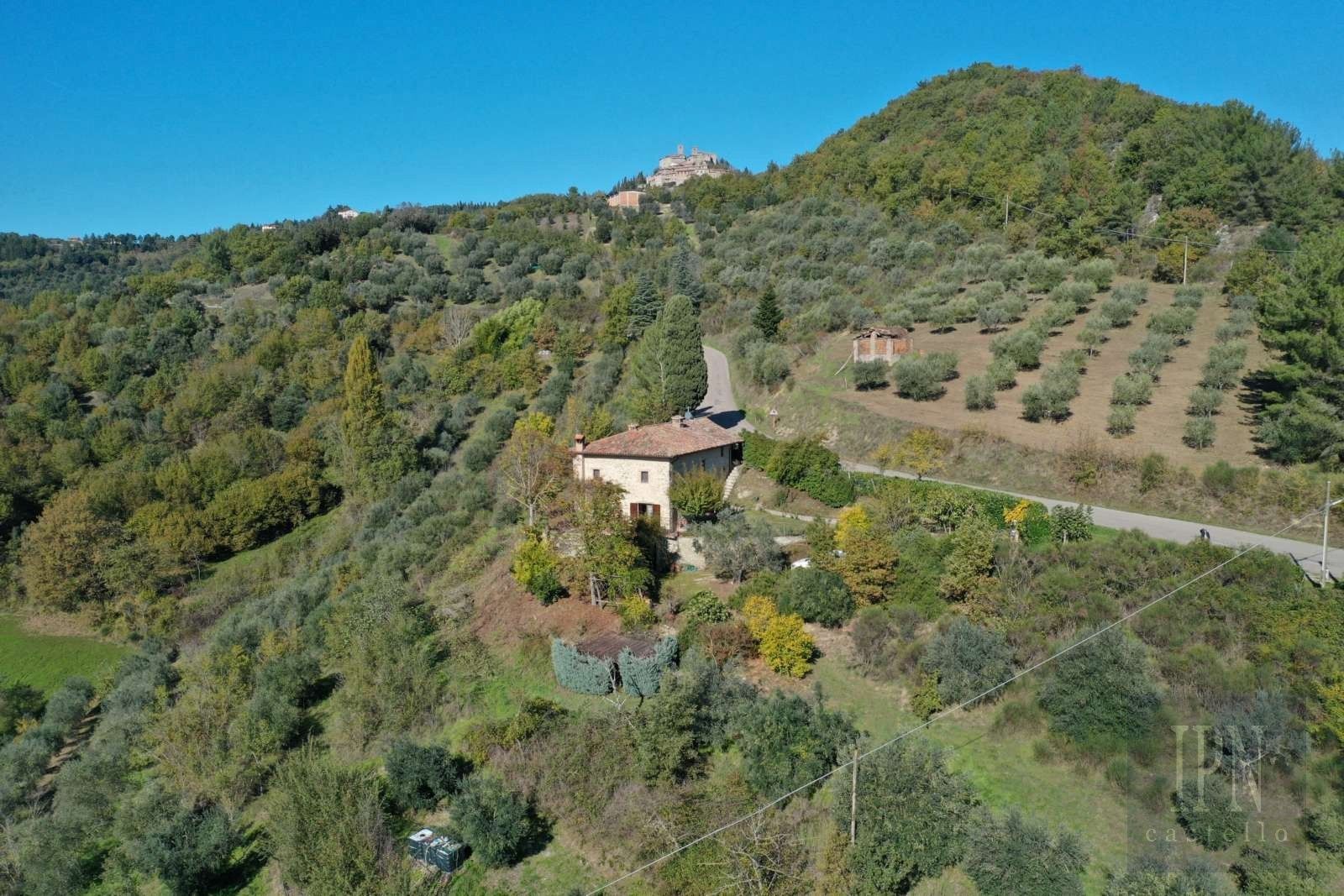 Images Terrace Valley View - Farmhouse in Monte Santa Maria Tiberina