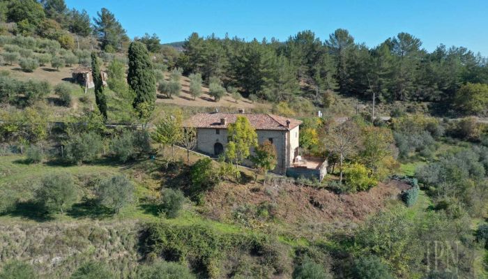  Monte Santa Maria Tiberina 4