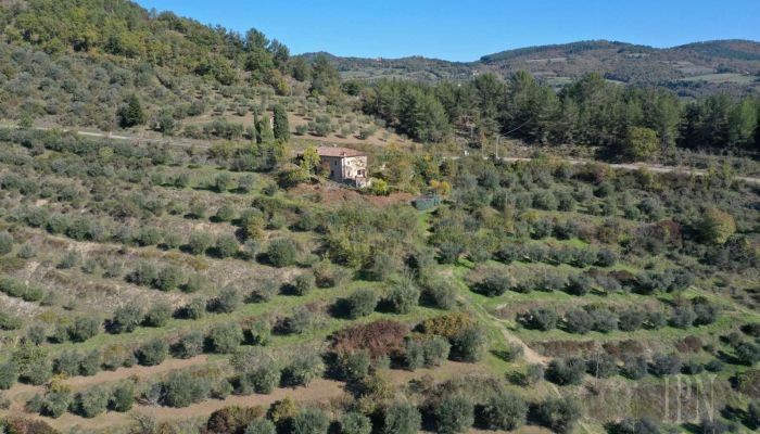  Monte Santa Maria Tiberina 5