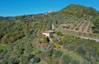 Landelijk huis te koop 06010 Monte Santa Maria Tiberina, Umbria, Foto 1/28