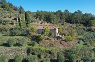 Landelijk huis te koop 06010 Monte Santa Maria Tiberina, Umbria, Foto 4/28