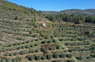 Landelijk huis te koop 06010 Monte Santa Maria Tiberina, Umbria, Foto 5/28